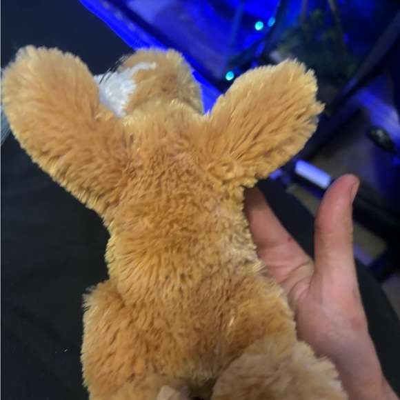 Russ Berrie CALIE Lion Cub Orange Kitty Cat Plush 9" Tan White Stuffed ROAR meow - Picture 5 of 7